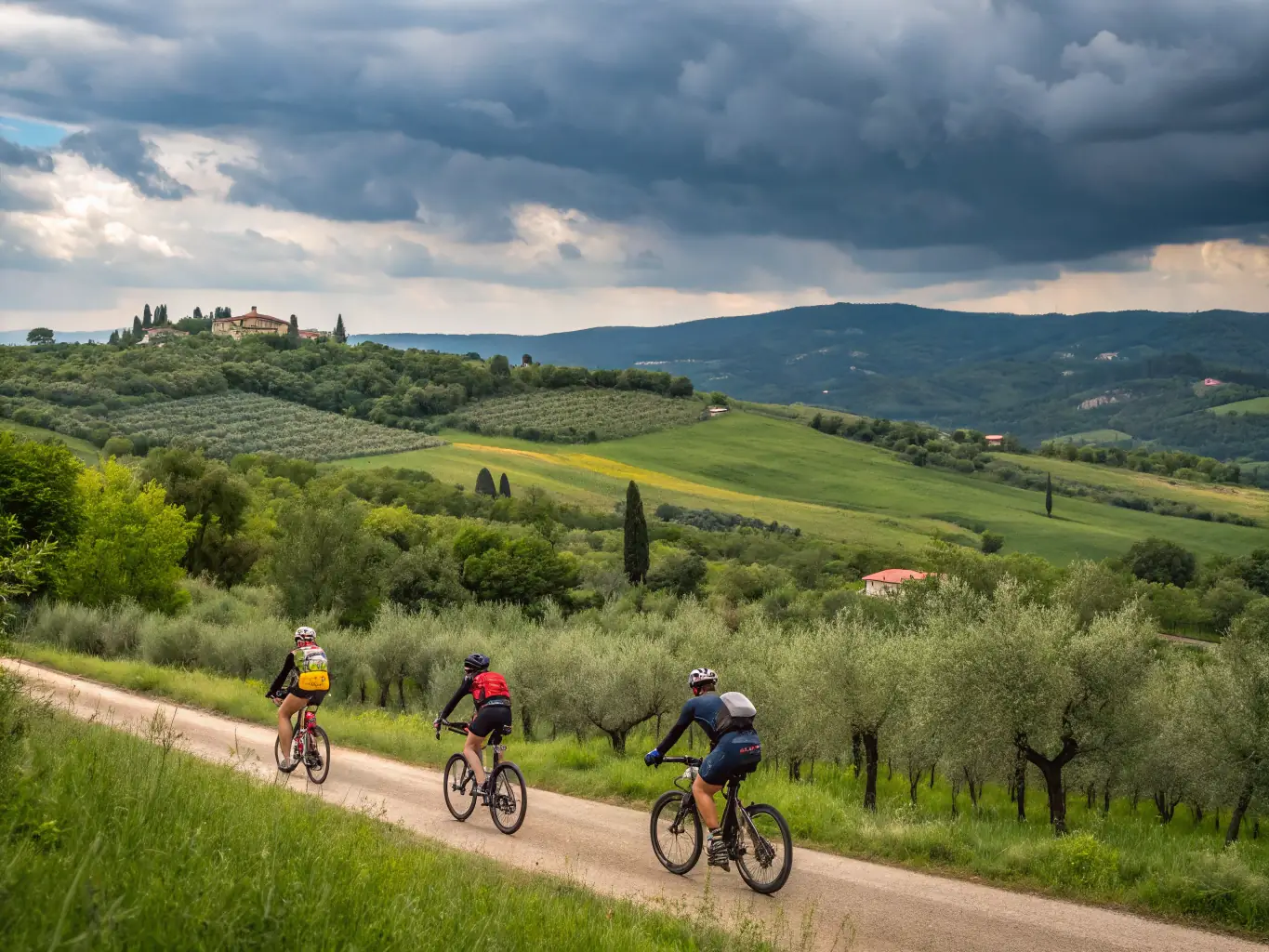Cyclists riding on a picturesque country road, surrounded by rolling hills and vineyards, illustrating the freedom and adventure of cycling in the area.